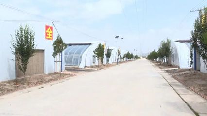 科技賦能，高效發展 本市現代農業溫室建設穩步推進